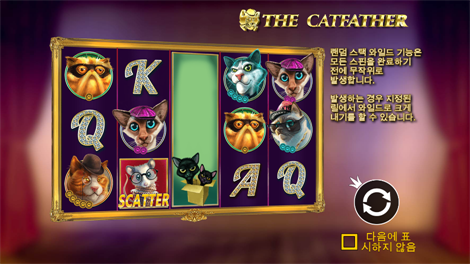 쉴드 오브 스파르타