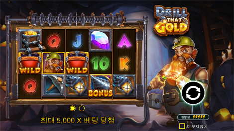 와일드 부스터