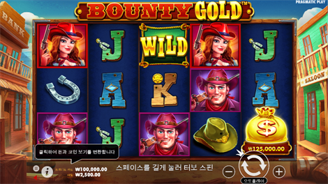 와일드 부스터
